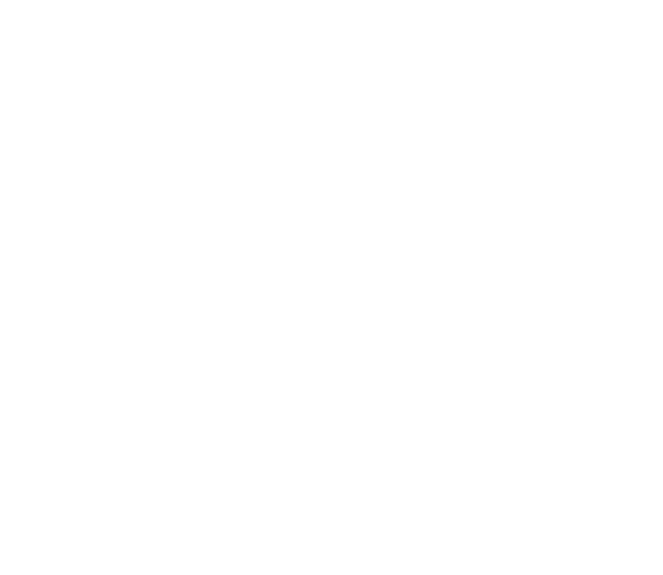 Zirve Partners лого